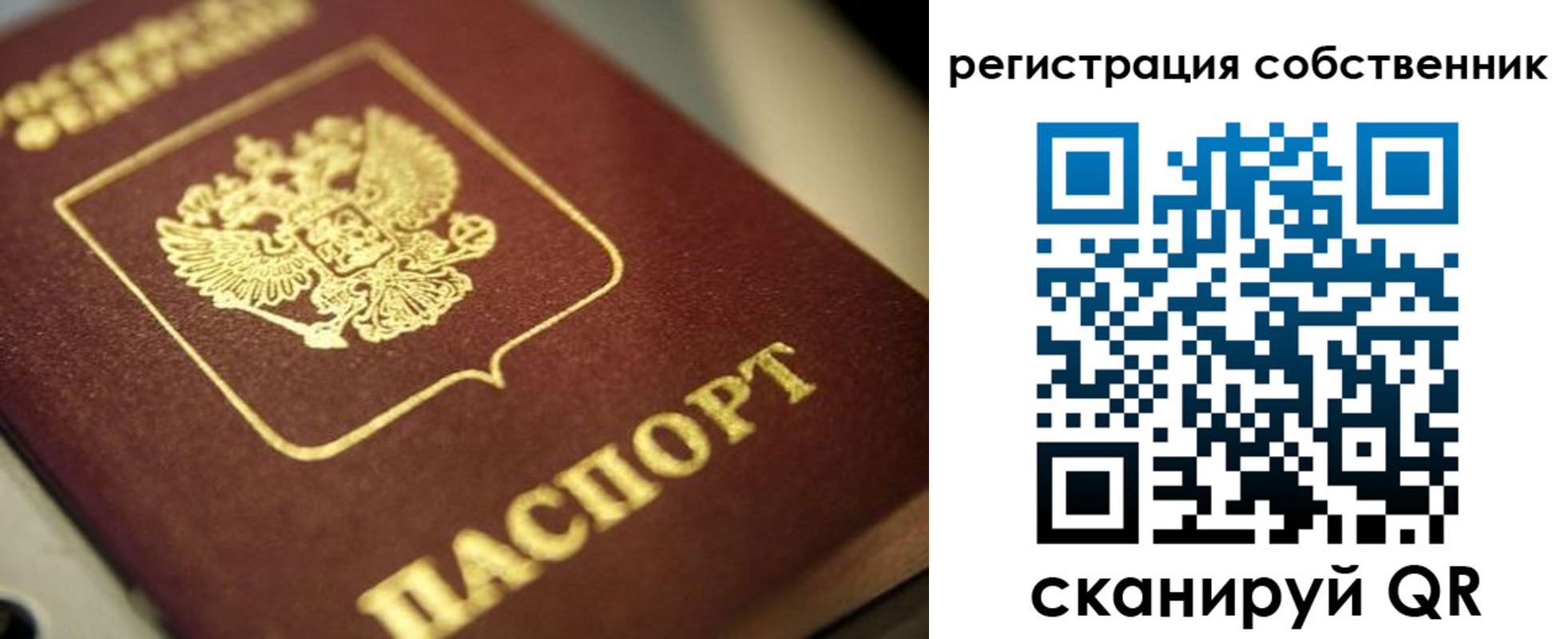 прописка в Николаевске-на-Амуре